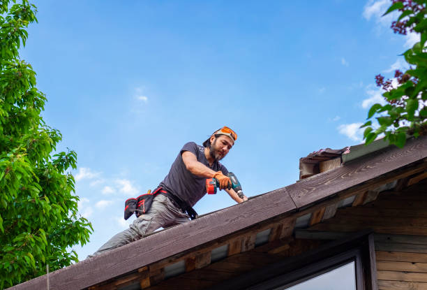 Siding in Alexandria Bay, NY